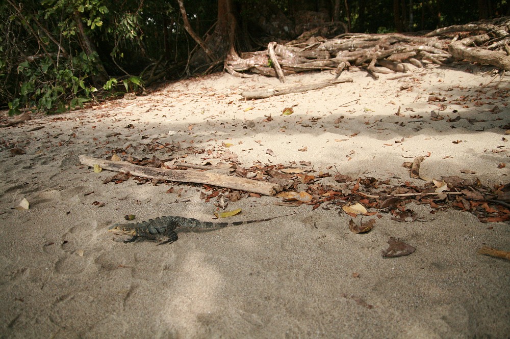 P_2007-12-21 14-23-03_1250.JPG